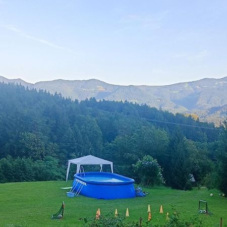 Apartmaji Borstner Vransko Buitenkant foto