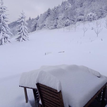 Apartmaji Borstner Vransko Buitenkant foto