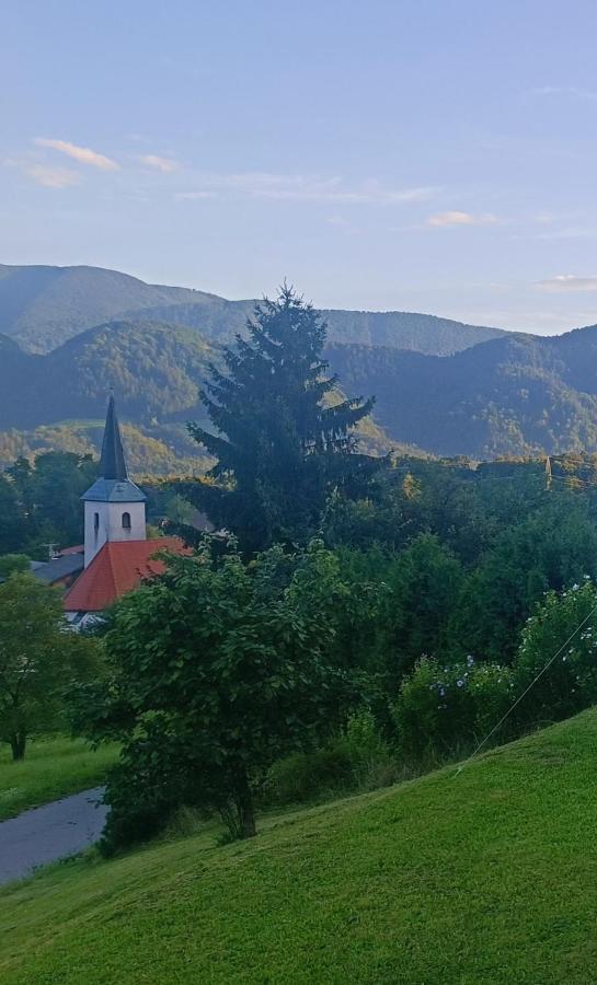 Apartmaji Borstner Vransko Buitenkant foto