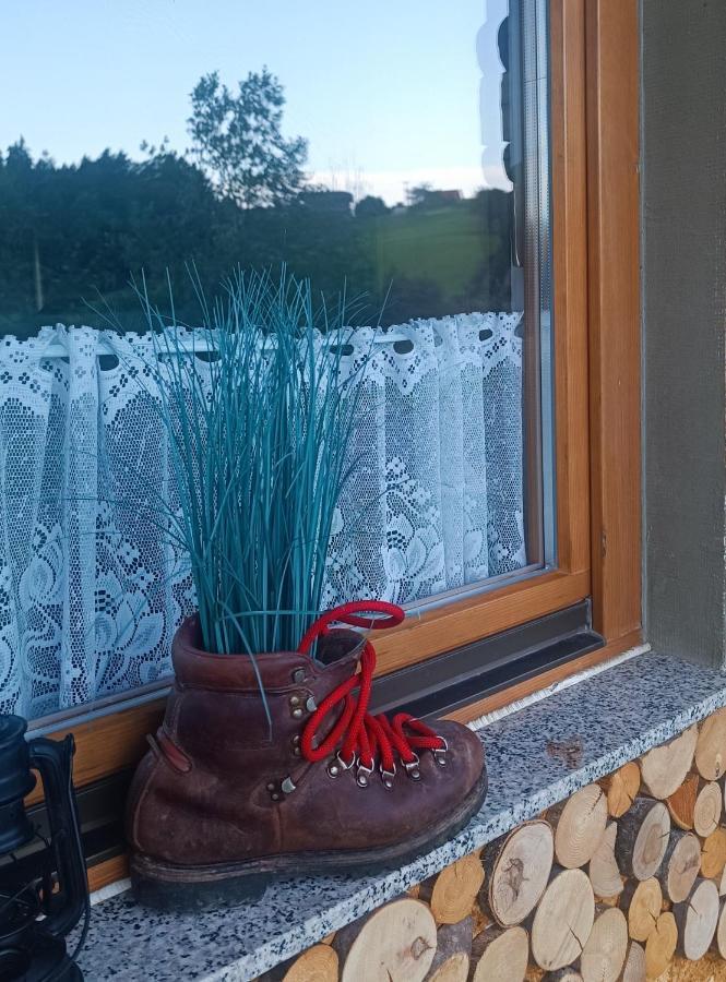Apartmaji Borstner Vransko Buitenkant foto