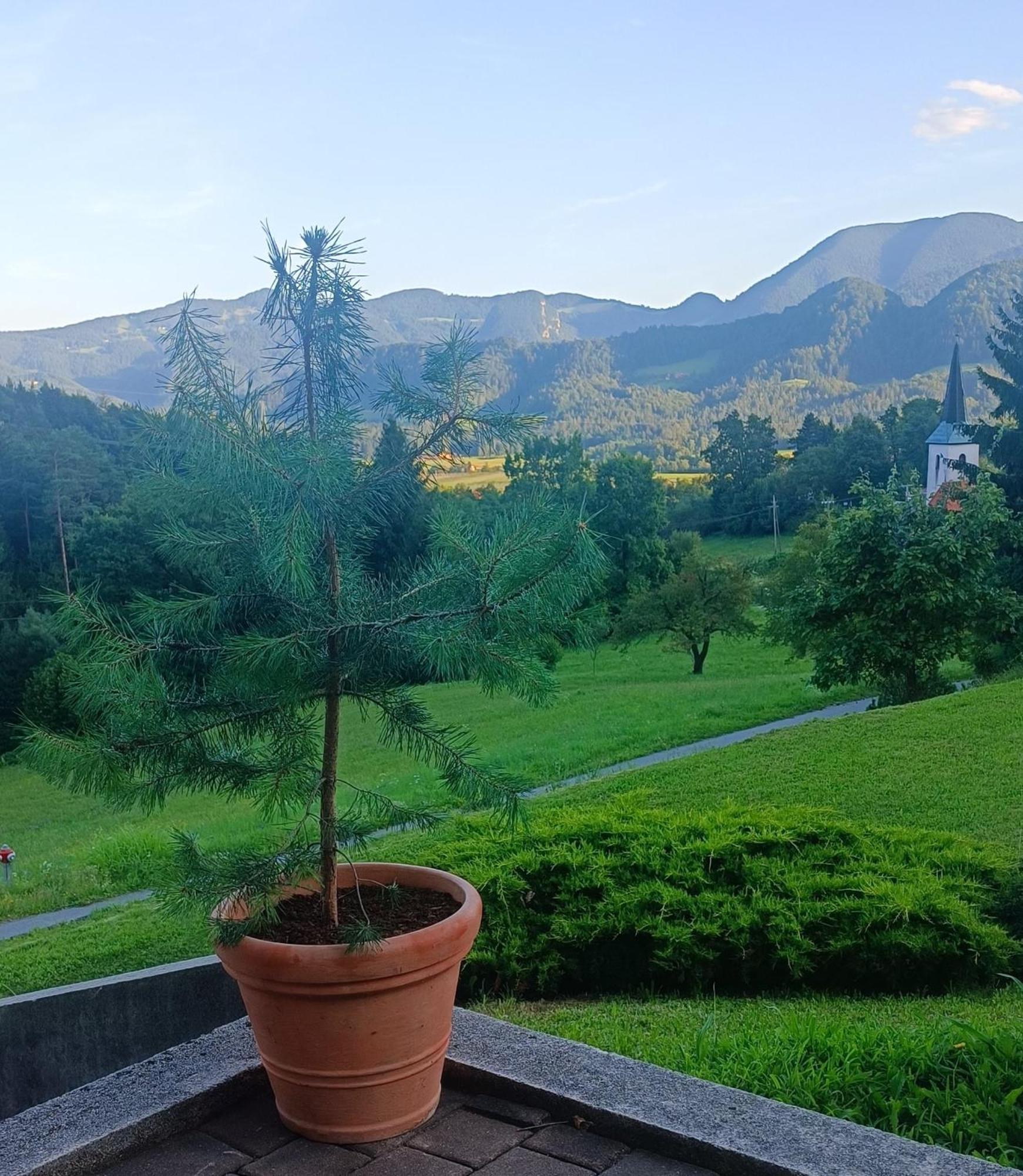 Apartmaji Borstner Vransko Buitenkant foto