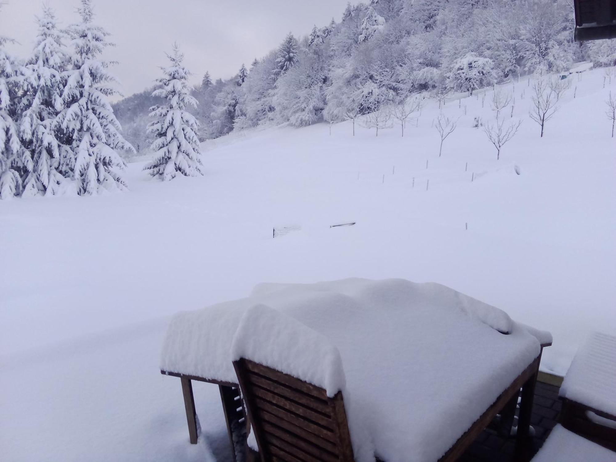 Apartmaji Borstner Vransko Buitenkant foto